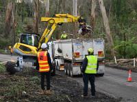 Fallen tree removal.