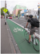 Image of bicycle pavement markings along the side of a road