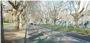 Image of a protected bicycle lane.
