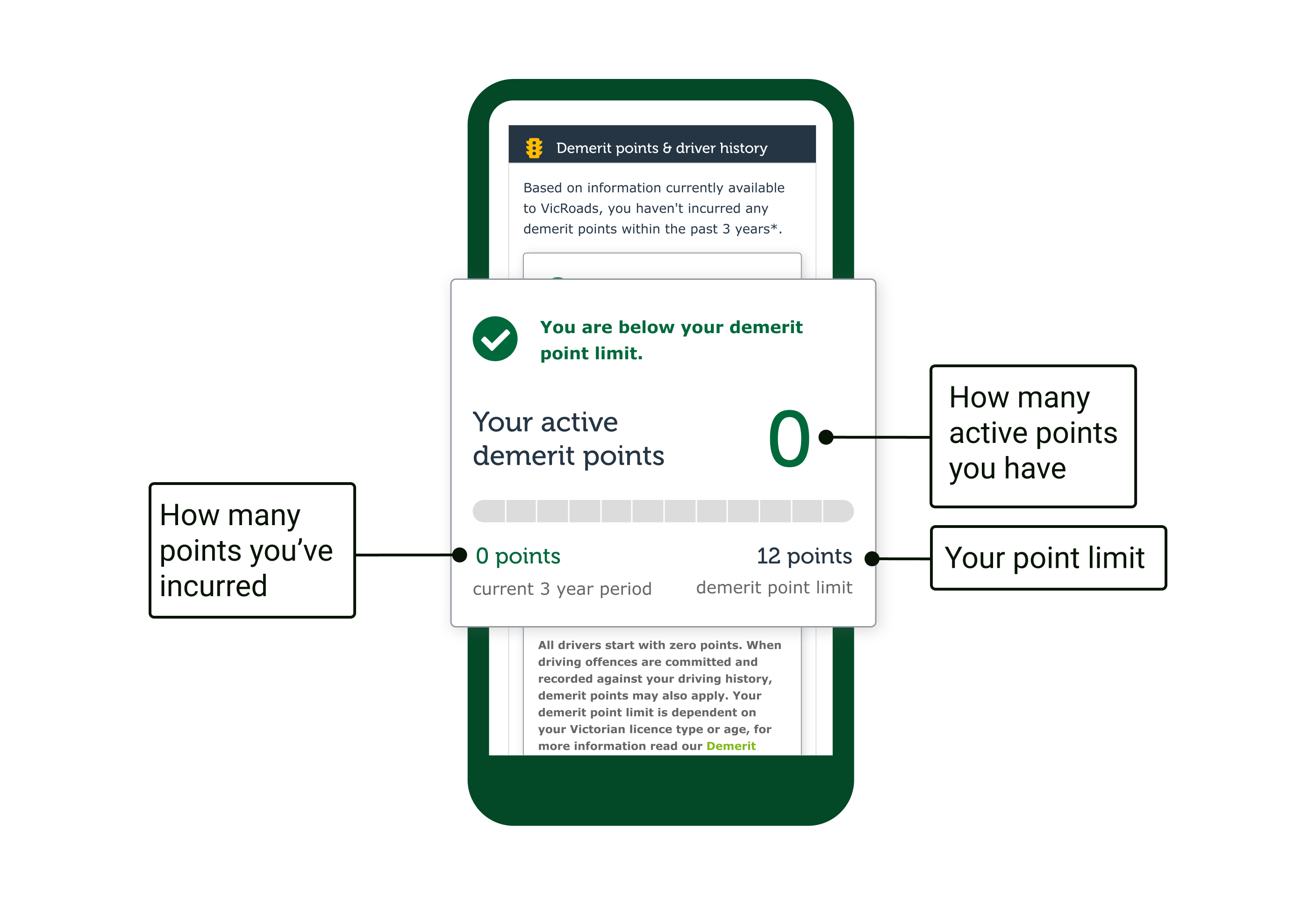 Demerit point overview